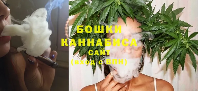 Каннабис сатива  купить наркотики цена  Шагонар 